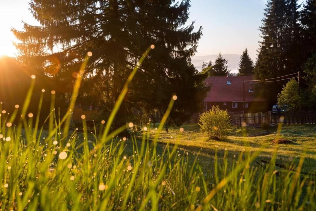 Piricske Pihenohaz Βίλα Ciceu Εξωτερικό φωτογραφία